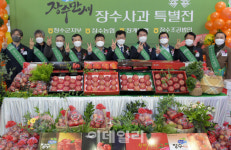 [포토] 농협유통, 장수 사과 특별판매전