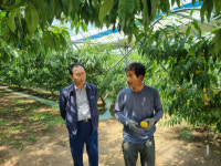 농가 힘 모으니 일손 덜고 제값 받아…`오후가 있는 삶`은 덤이죠