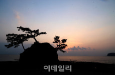 [여행] 한해 동안 묵은 시름, 이 해에 모두 묻으렴