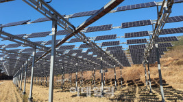 논·밭에 심은 ‘태양광 나무’…온실가스 줄이고, 농가소득 늘렸다