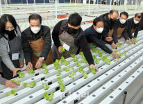 [포토] 스마트팜 찾은 이성희 농협회장