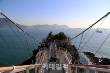 [인싸핫플] 용궁 속 들어가듯, 구름 위를 걸어가다