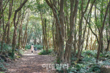 겨울을 마음껏 즐기자…겨울체험여행 ‘베스트6