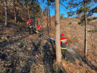 춘천서 산불…헬기 동원 2시간 만에 진화