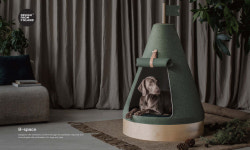 반려동물 용품업체 베르그앤릿지, 시드 투자 유치