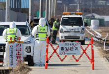 평택·정읍 등서 고병원성 AI 발생