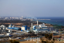 [여행] 더 짙고, 더 넓고, 더 광활한 동해를 느끼다