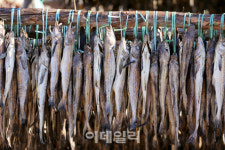 [미식로드] 뜨끈한 황태국 한 그릇에 봄이 스스륵 다가왔다