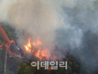 5일까지 강원 영동·영남에 대형산불 위험예보 발령