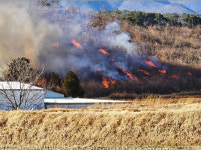 울산 울주군 언양읍서도 산불…울주군청 1000명 동원령