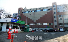 [포토] 고령축산물공판장, 온라인 경매 플랫폼 시범사업