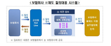 금감원, 보험사 IFRS17 대비한 지원실무협의체 운영