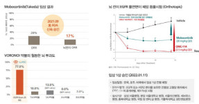 美 오릭 임상실패, 보로노이 기술수출한 항암제는 어찌되나