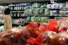 물가 치솟고 내수회복 제약…우울해진 정부 경기 전망