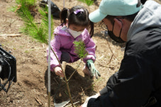 한화그룹, 강원 홍천군에 태양의 숲 9호 조성
