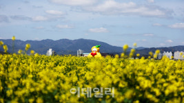 [인싸핫플] 요즘 뜨는 성주의 핫플레이스 4