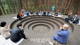 [여행] 뒤틀리고 휘어진 노거수, 500년간 성주를 품다