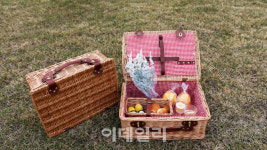 [미식로드] 빵·잼 넘어 마들렌·마카롱까지 변신한 성주참외