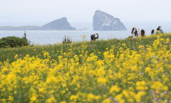 “제주, 코로나 검사 없이 바로 오세요”