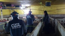 ㈜지에스엘바이오, 차세대 농축수산용 미생물신소재 GSL101 개발 성공