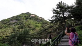 신안중 옆 등산로 | [여행+] 청와대 옆길따라 ‘김신조 루트’를 오르다