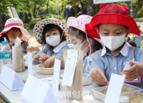 [포토] 볍씨가 신기한 어린이들