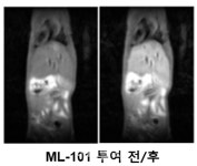 비엘팜텍, 신약개발 사업영역 확장 위해 바이오벤처 ‘멜라니스’ 인수