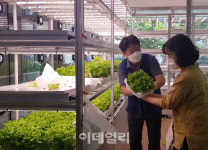 [포토] 하나로마트 창동점, 스마트팜 체험행사