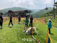 댕댕이와 함께해요, 하이원리조트 ‘하이원 펫클럽’ 7월 오픈