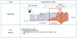 비엘, 세계 최초 자궁경부전암 치료제 개발 순항...상업화되면 年6000억+알파