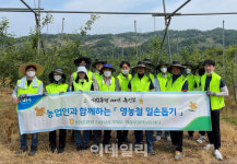 [포토] 농신보, 사과농장에서 일손돕기