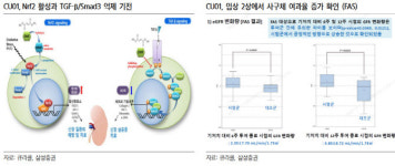 [인베스트 바이오]큐라클, 임상 2상 진입 파이프라인 증가...상업화 신약 가능성↑