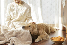 “휴가철, 댕댕이·냥냥이 괴롭히지도, 놓치지도 마세요”