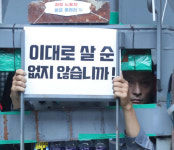 추미애 