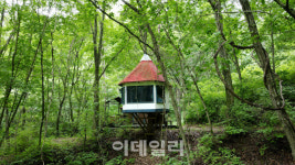 [여행] 다큐 감독이 만든 ‘숲’에서 호랑이를 만나다