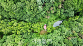 [여행] 다큐 감독이 만든 ‘숲’에서 호랑이를 만나다