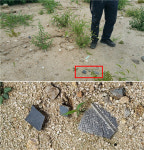 20년 끌어온 `춘천 기와집골` 재건축, 이번엔 매장 문화재 논란