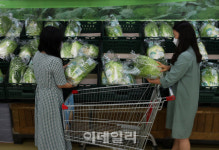[포토] 채소류 구매하는 소비자