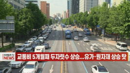 (영상)교통비 5개월째 두자릿수 상승...유가·원자재 상승 탓