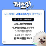 반려견 행동 교정 플랫폼 포동, 강아지 문제행동 콘텐츠 개소리 캠페인 진행