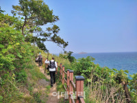 [여행] 신비로움 가득한 섬을 타고 놀다