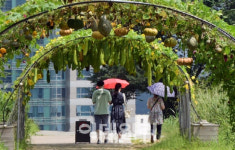 [내일날씨]일요일도 완연한 가을…일교차 주의