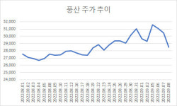 풍산, 제2의 LG엔솔?…알짜 방산사업 분할 소식에 개미 부글