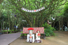 낭만이 흐르는 여수의 밤바다[추석안심관광지]