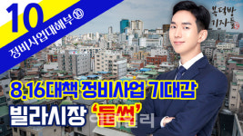 8.16대책 정비사업 기대감…빌라시장 ‘들썩’[복덕방기자들]