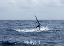 바다와 강, 인간의 오래된 식량창고[물에 관한 알쓸신잡]