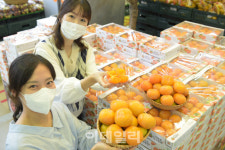 [포토] 청도반시 출하