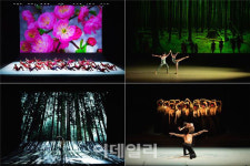 와이즈발레단 비타, 내달 14~15일 마포아트센터서 재공연