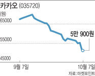 IT 성장주에 무슨 일이…네이버·카카오 와르르