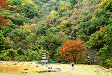 물감 쏟은 듯, 굽이굽이 붉은 길 위…가을 내려앉다[여행]